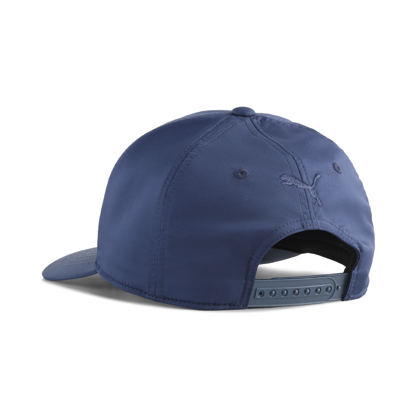 PUMA I BMW Tech Cap