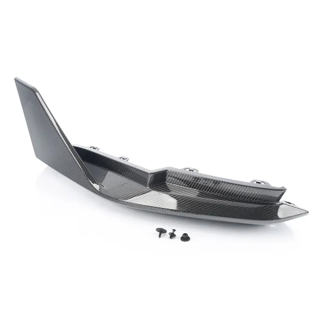 Rear Winglet, Carbon