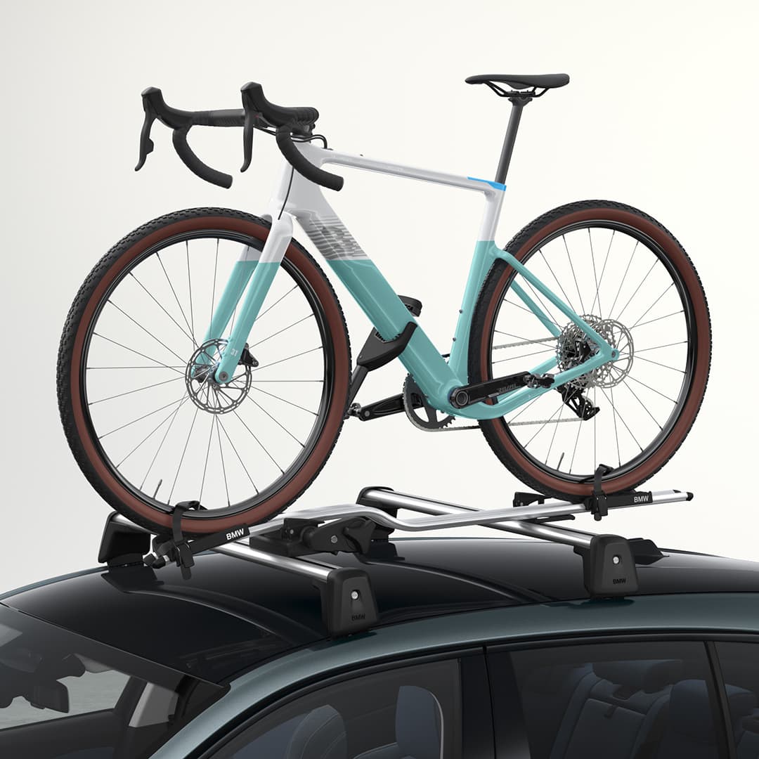 Mtb carrier online